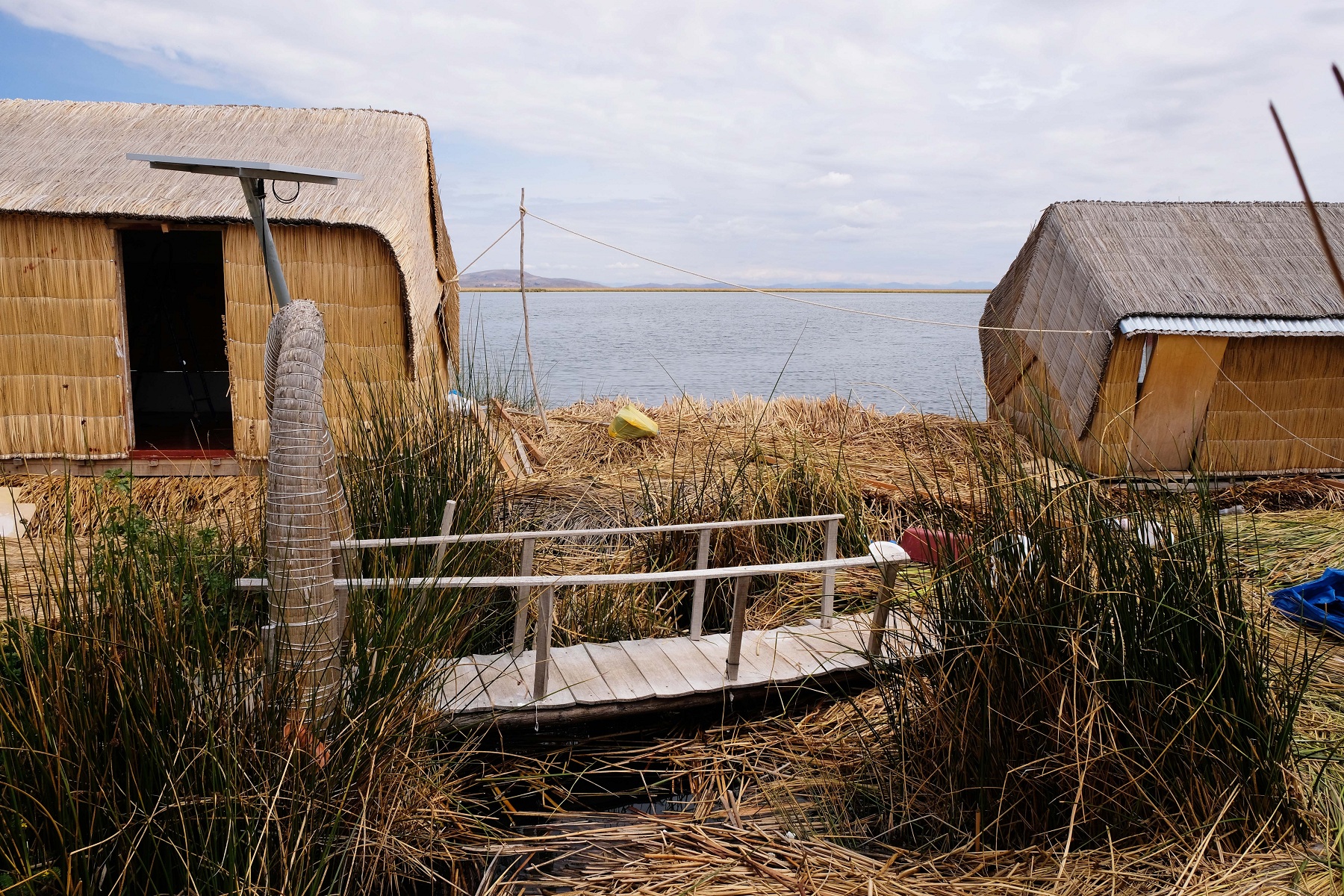 DSCF8818.JPG