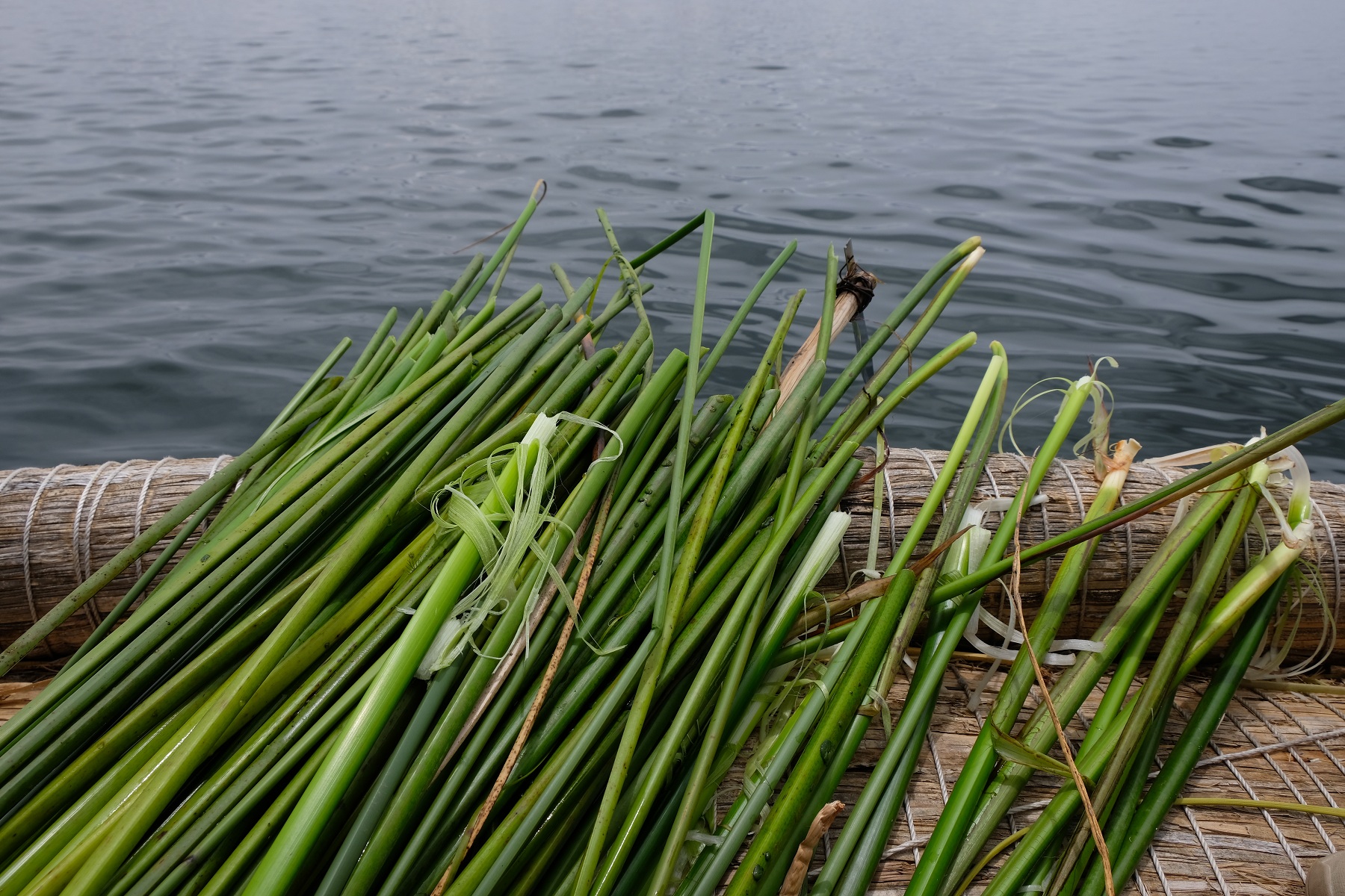 DSCF8838.jpg