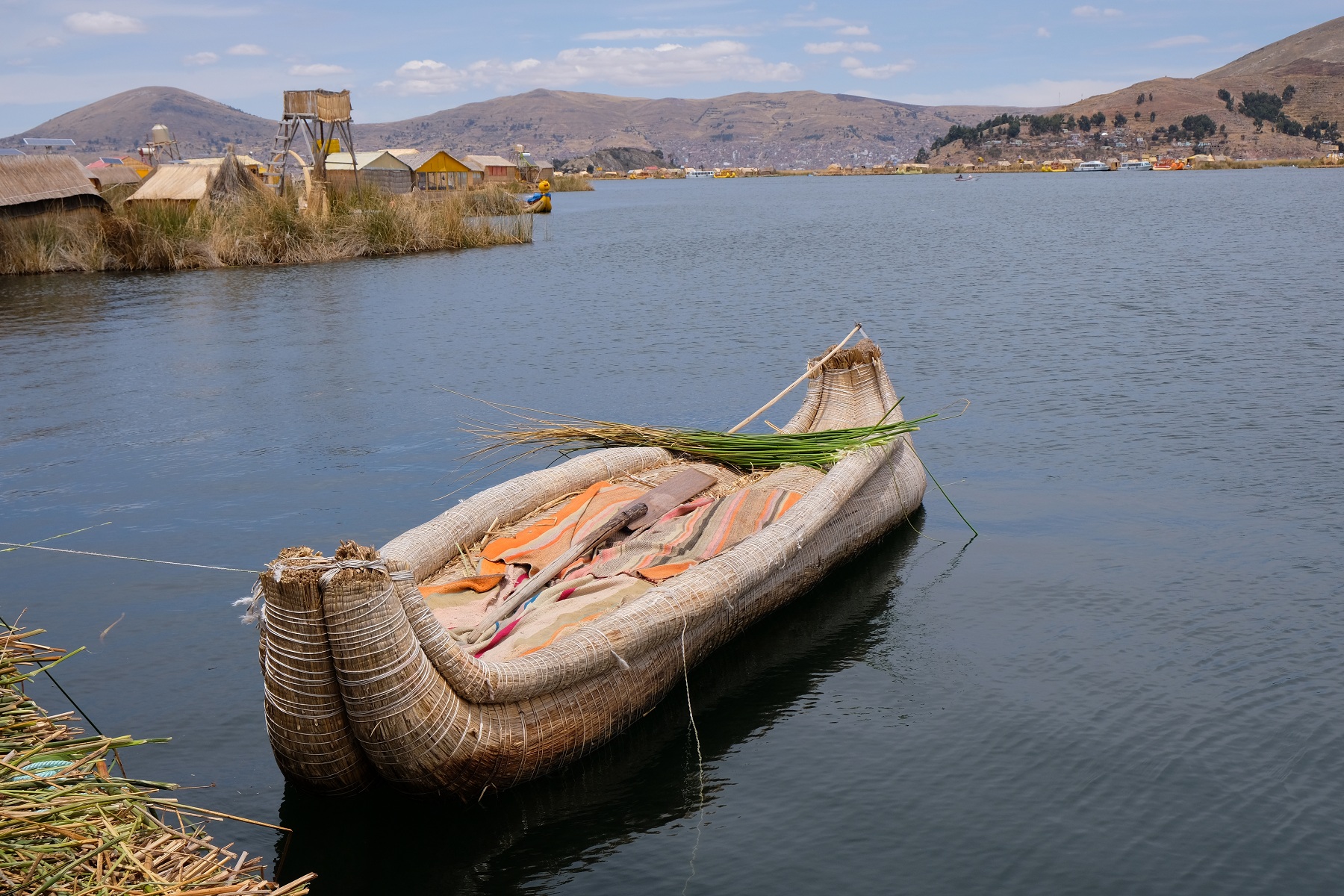 DSCF8849.JPG