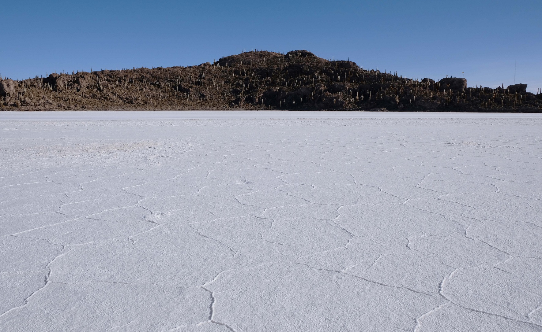 DSCF9177.JPG