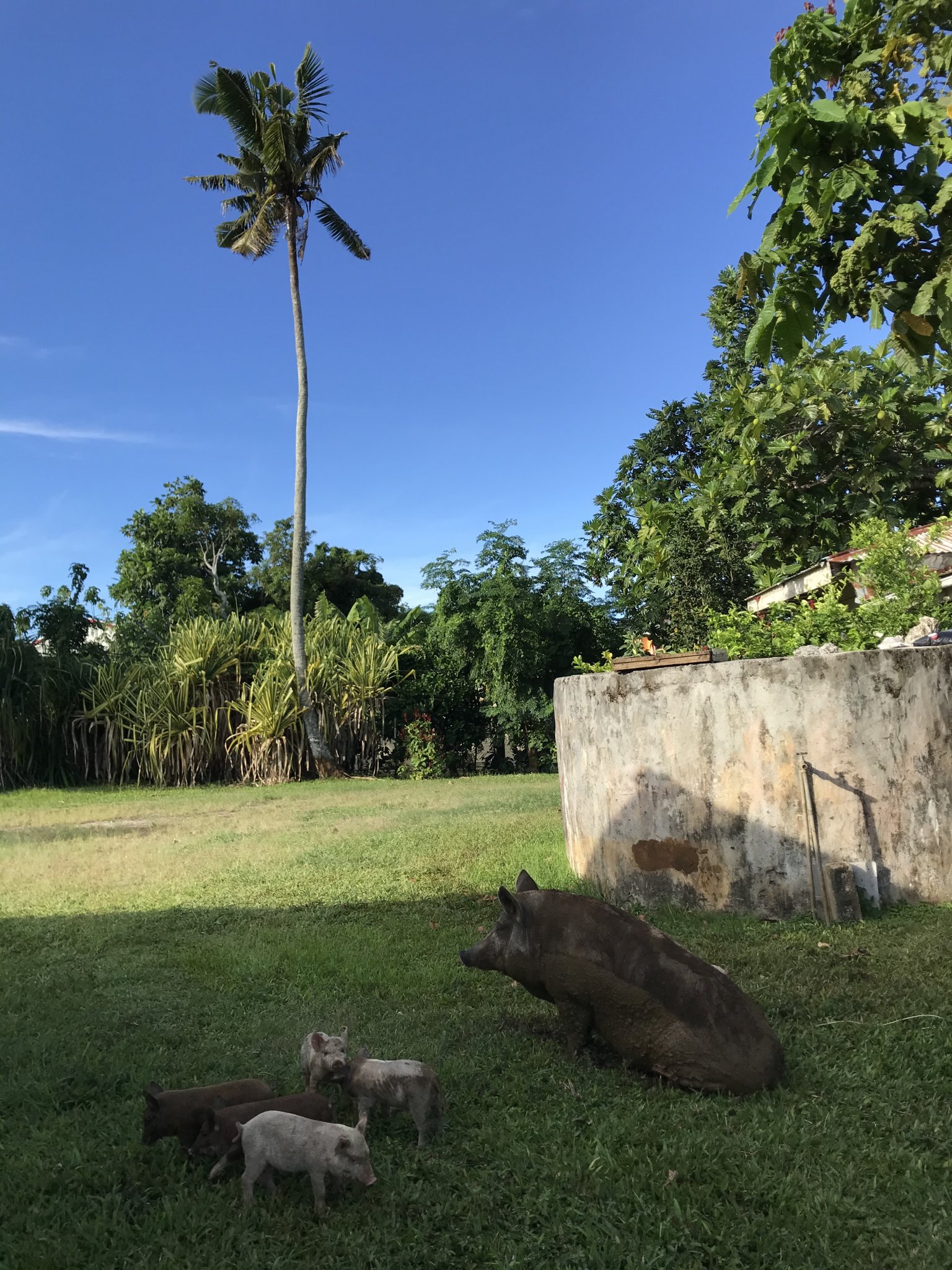 E56A1346-5D22-425D-AE13-D14295425EA0.jpeg