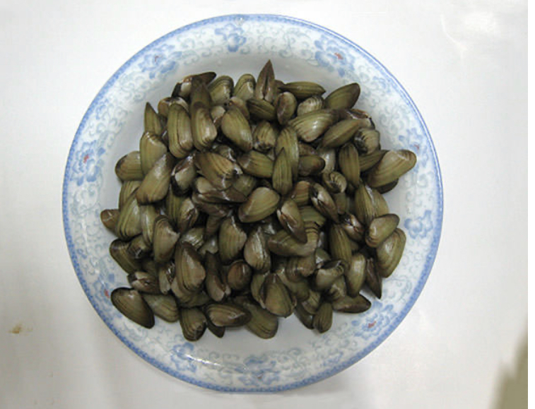 E8930ADB-9A3D-4FE8-A99E-1E87CB3F6312.jpeg