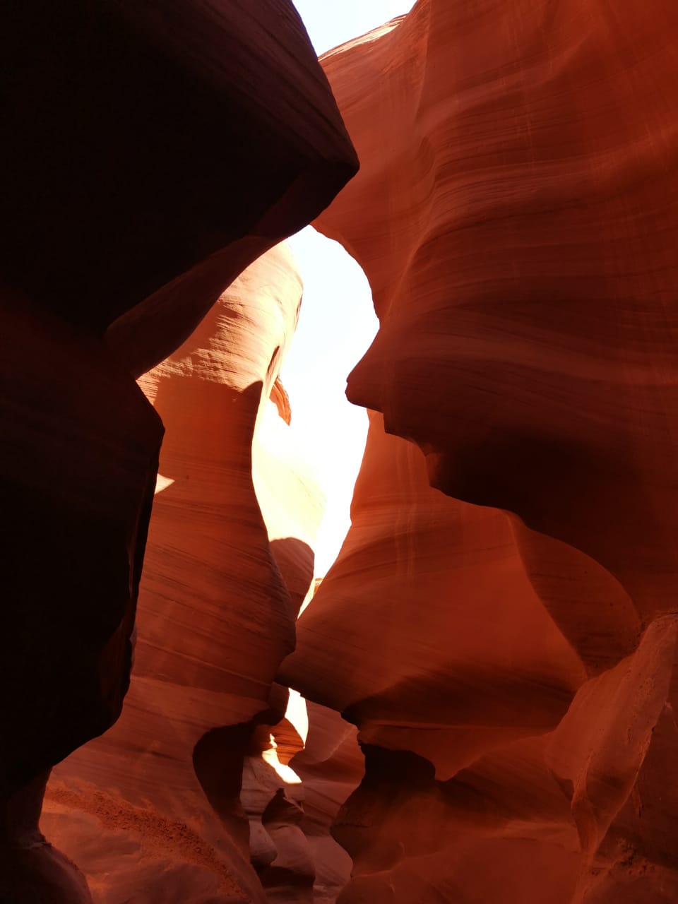 F38C2642-DEE5-477A-9216-2D2ED1FE8F2F.jpeg