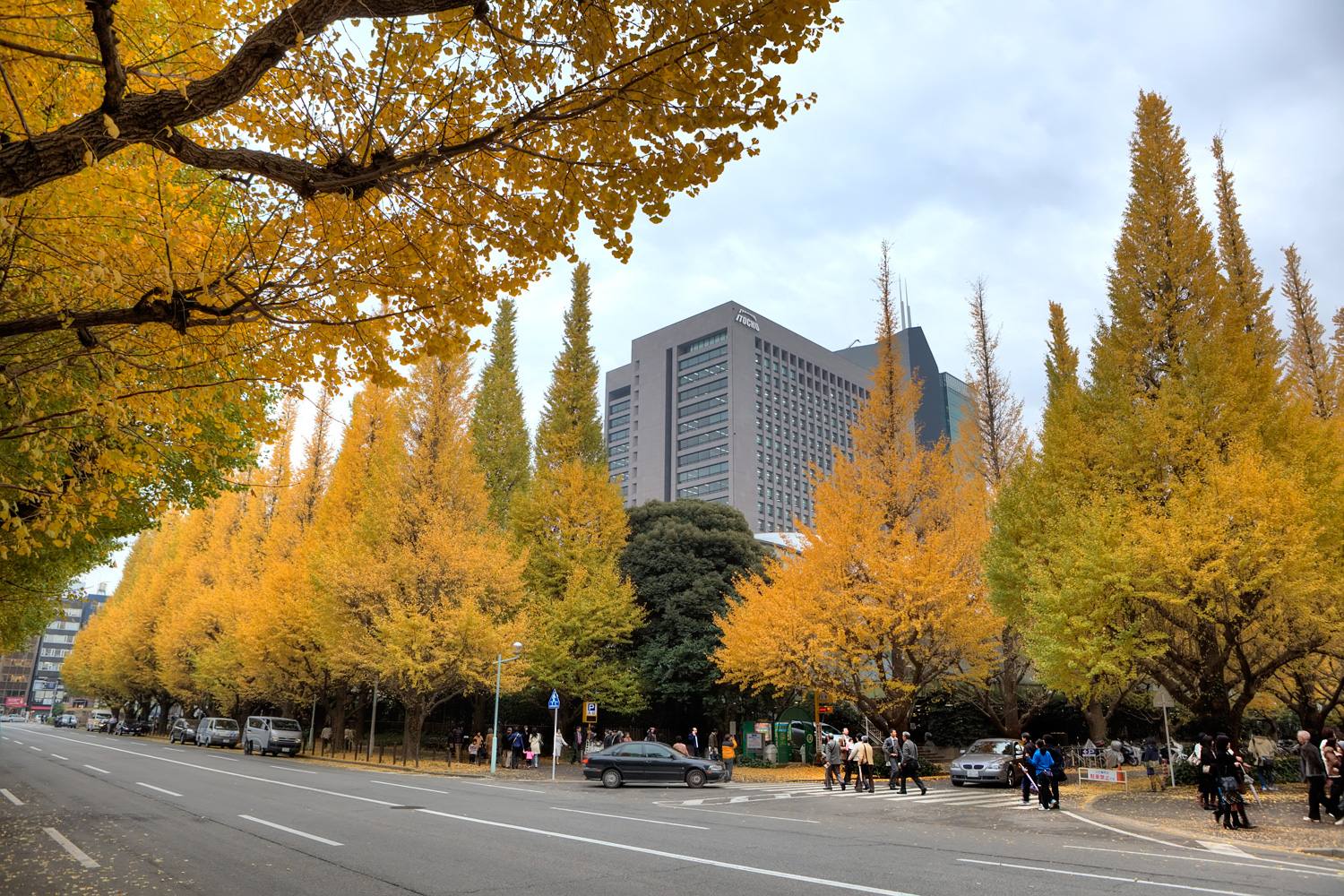 Fall-Colors-2010-11-22-G741234HDR.jpeg