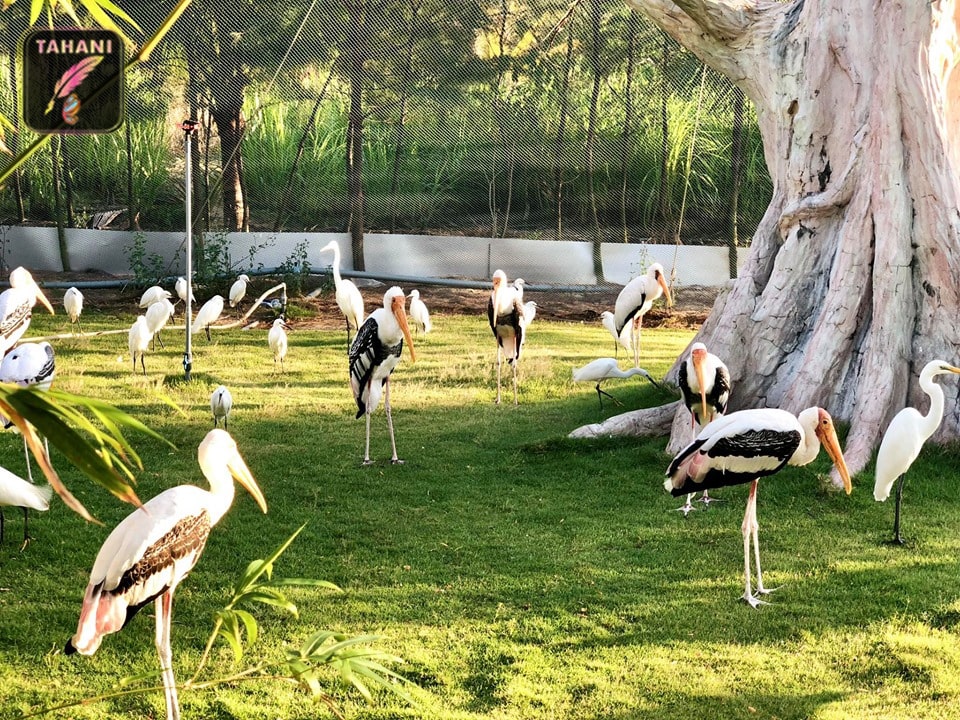 flc-zoo-park-min.jpg