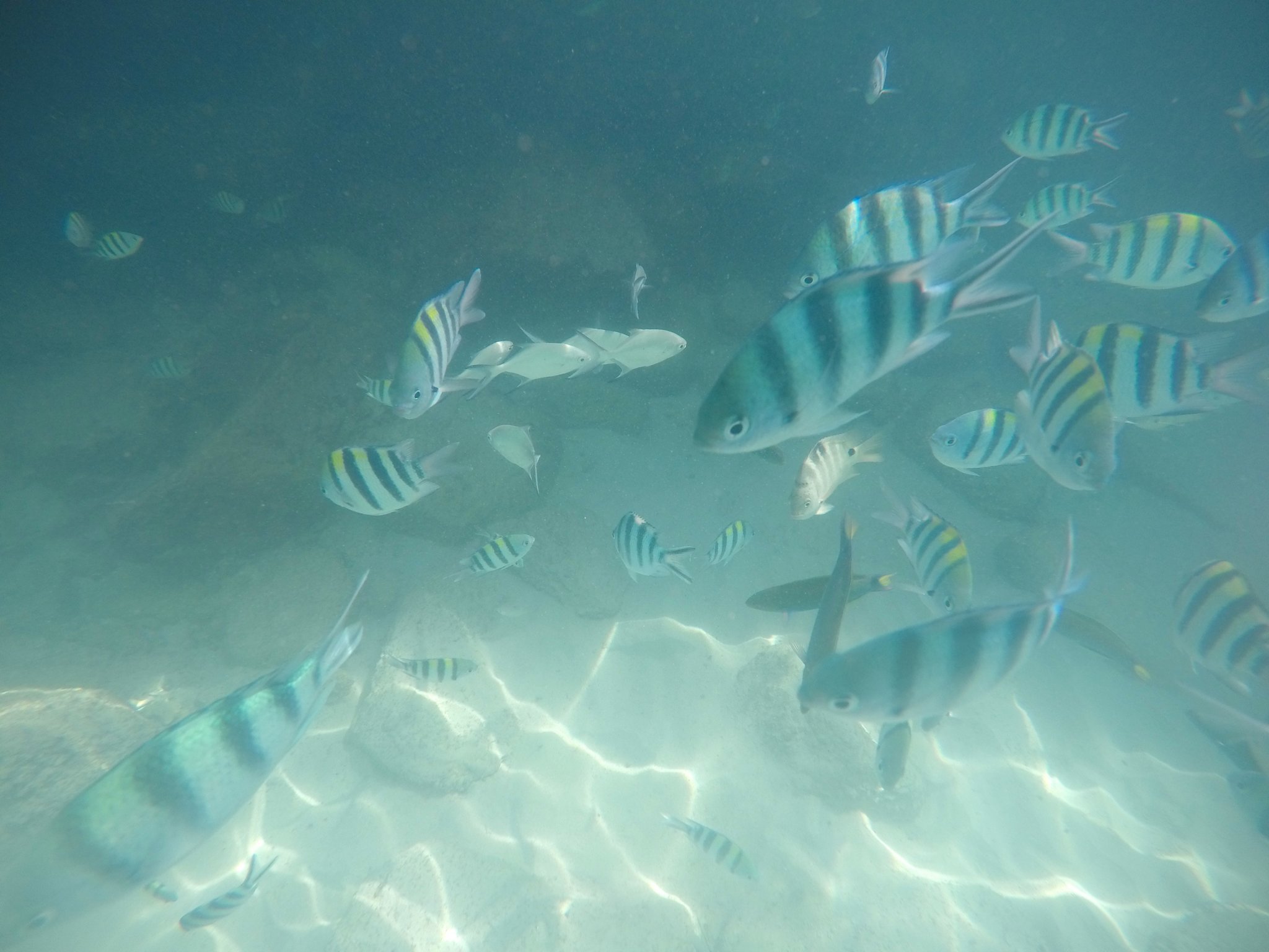 GOPR4396.JPG