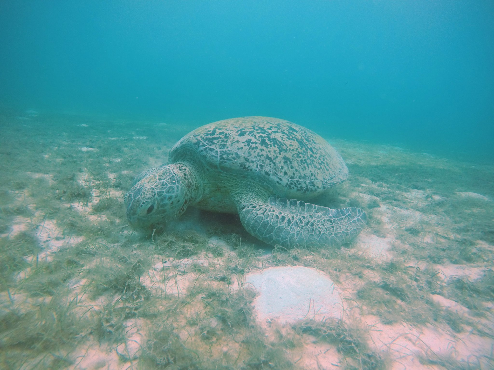 GOPR4440.JPG