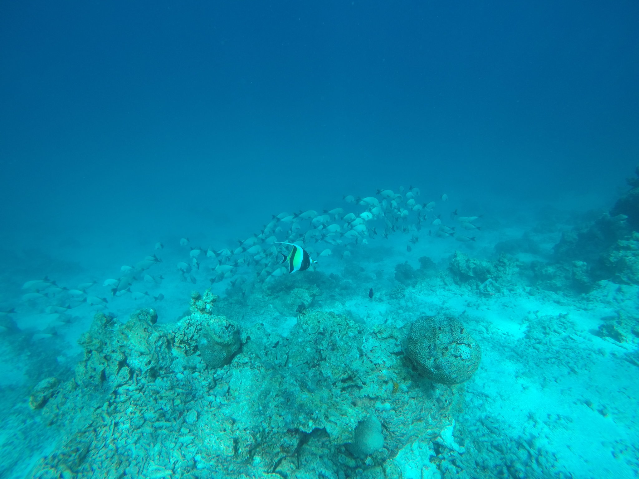 GOPR4824.JPG
