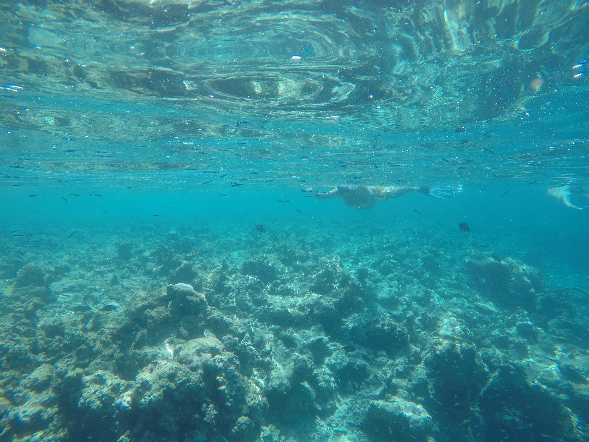 GOPR4832.jpg