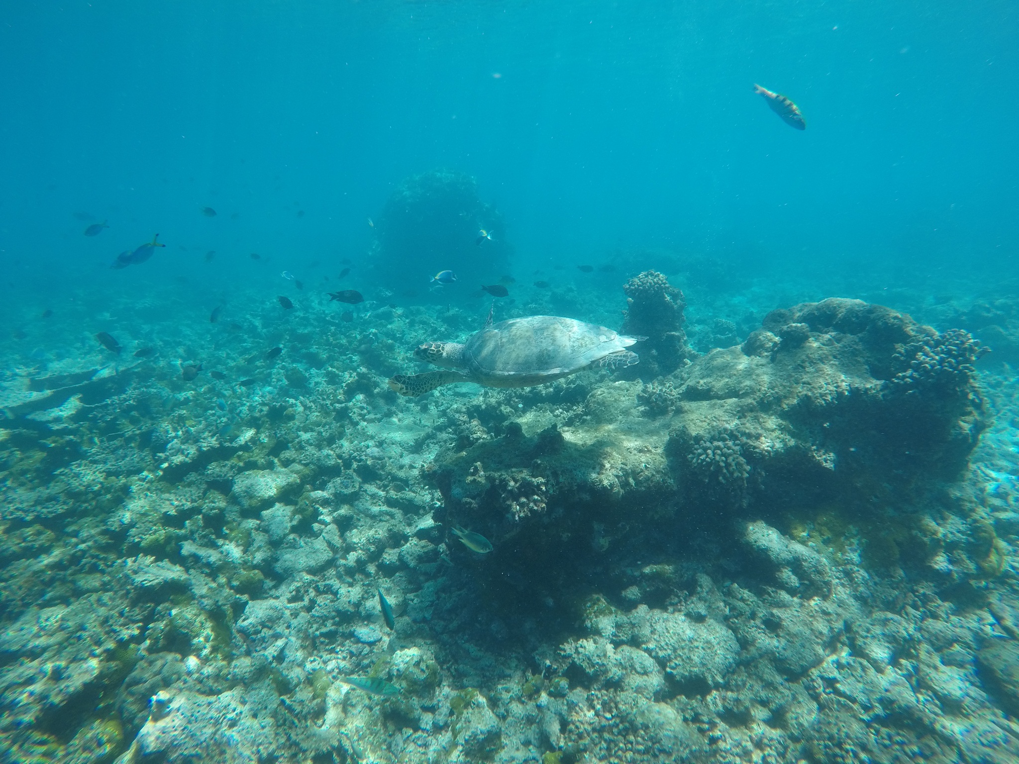 GOPR4872.jpg