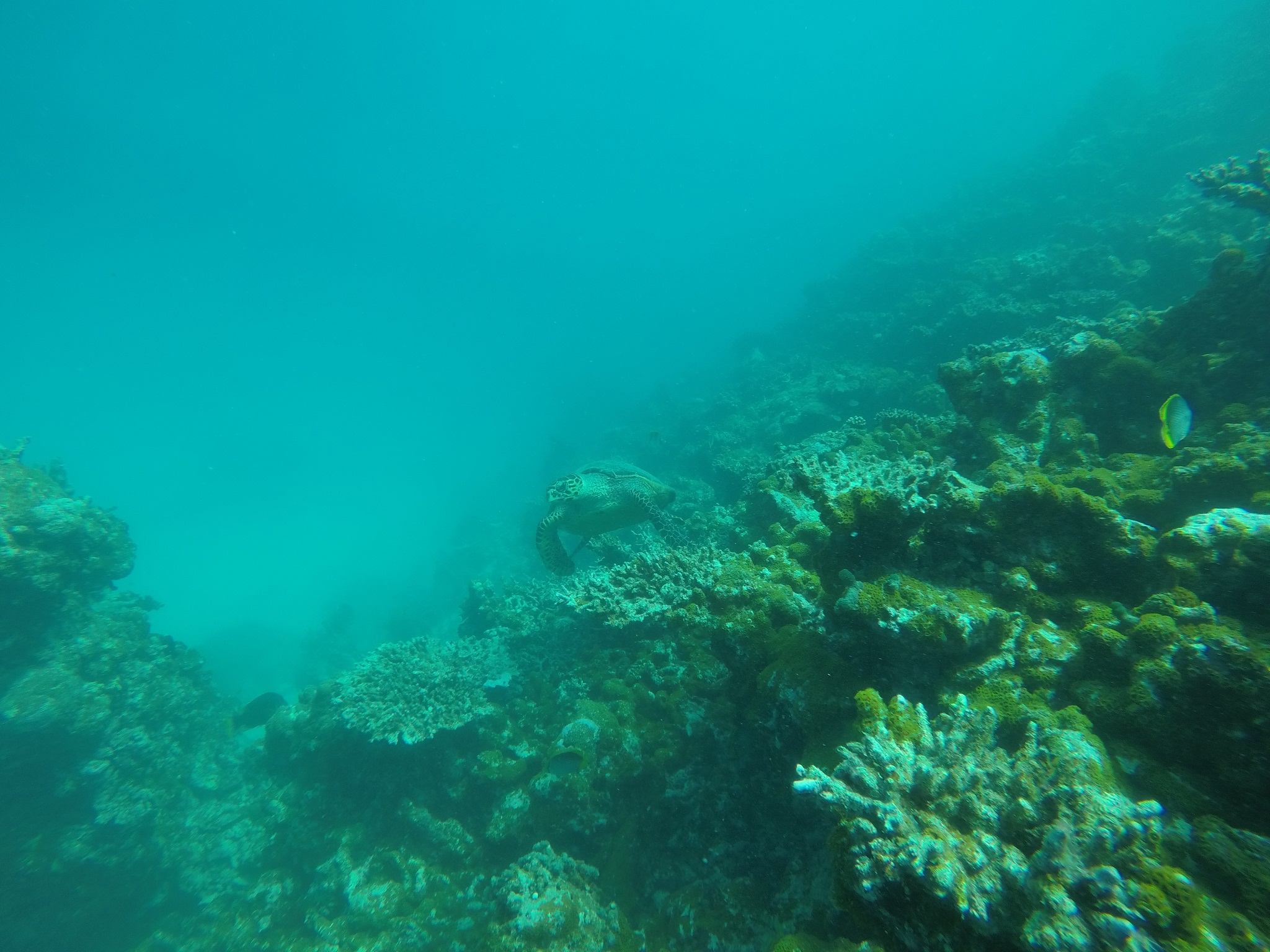 GOPR4878.jpg