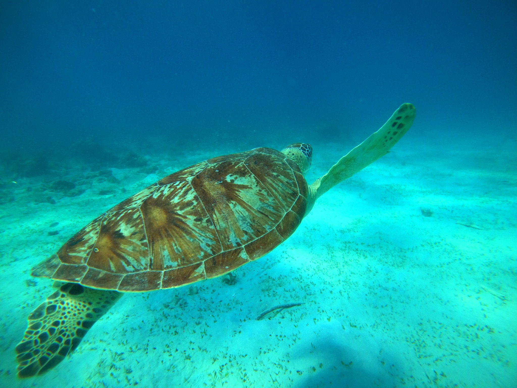 GOPR8397.JPG