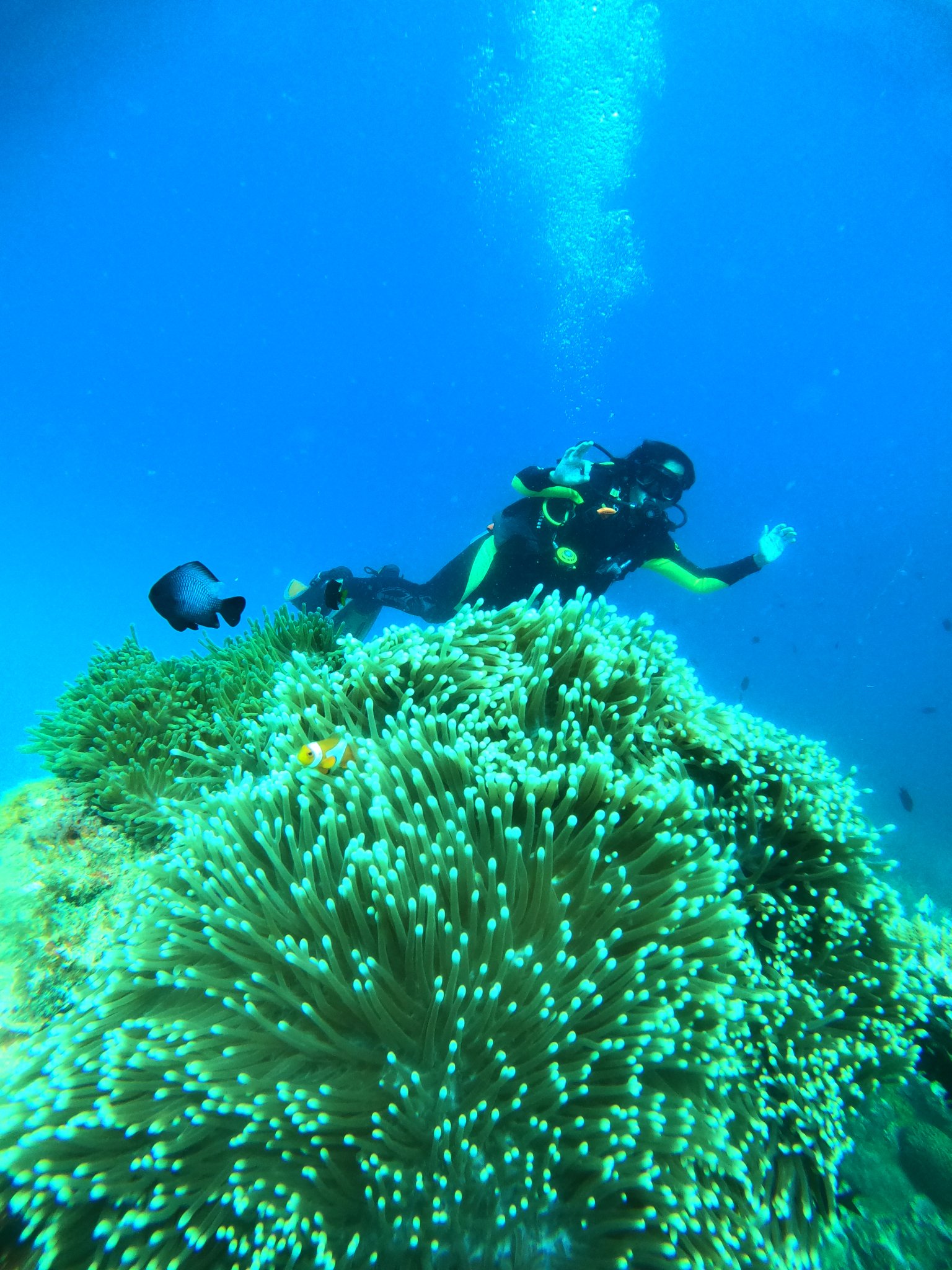 GOPR8441.JPG