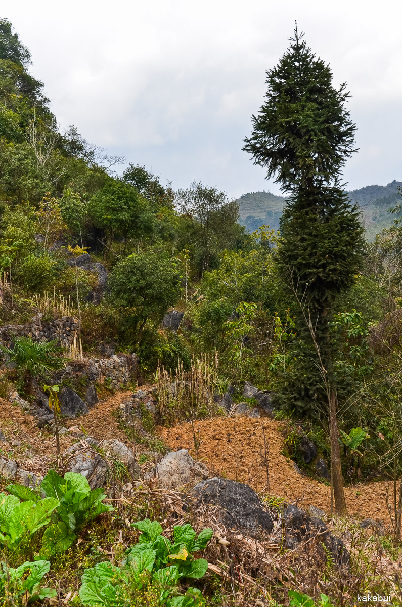 Hagiang 102.jpg