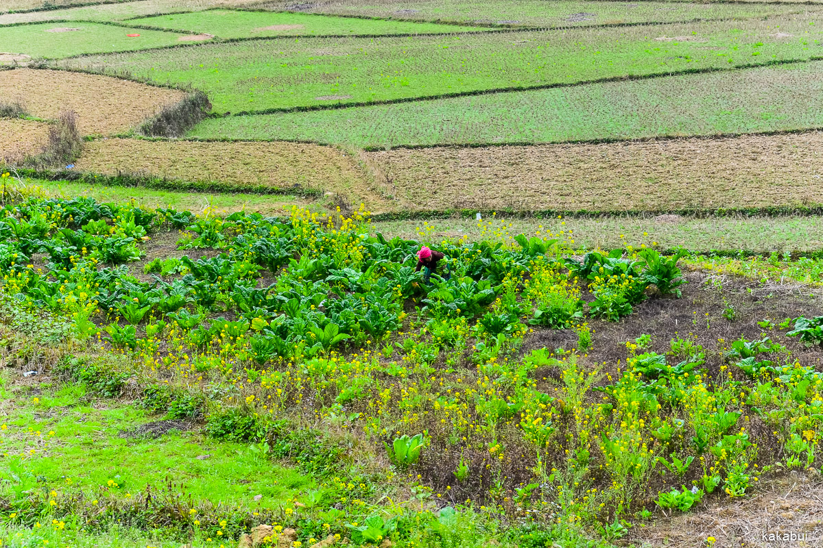 Hagiang 110.jpg