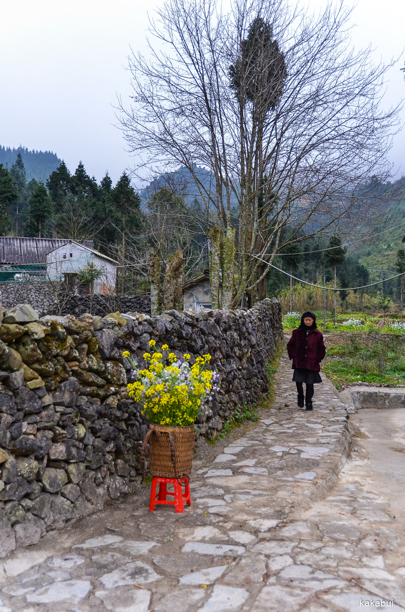 Hagiang 313.jpg