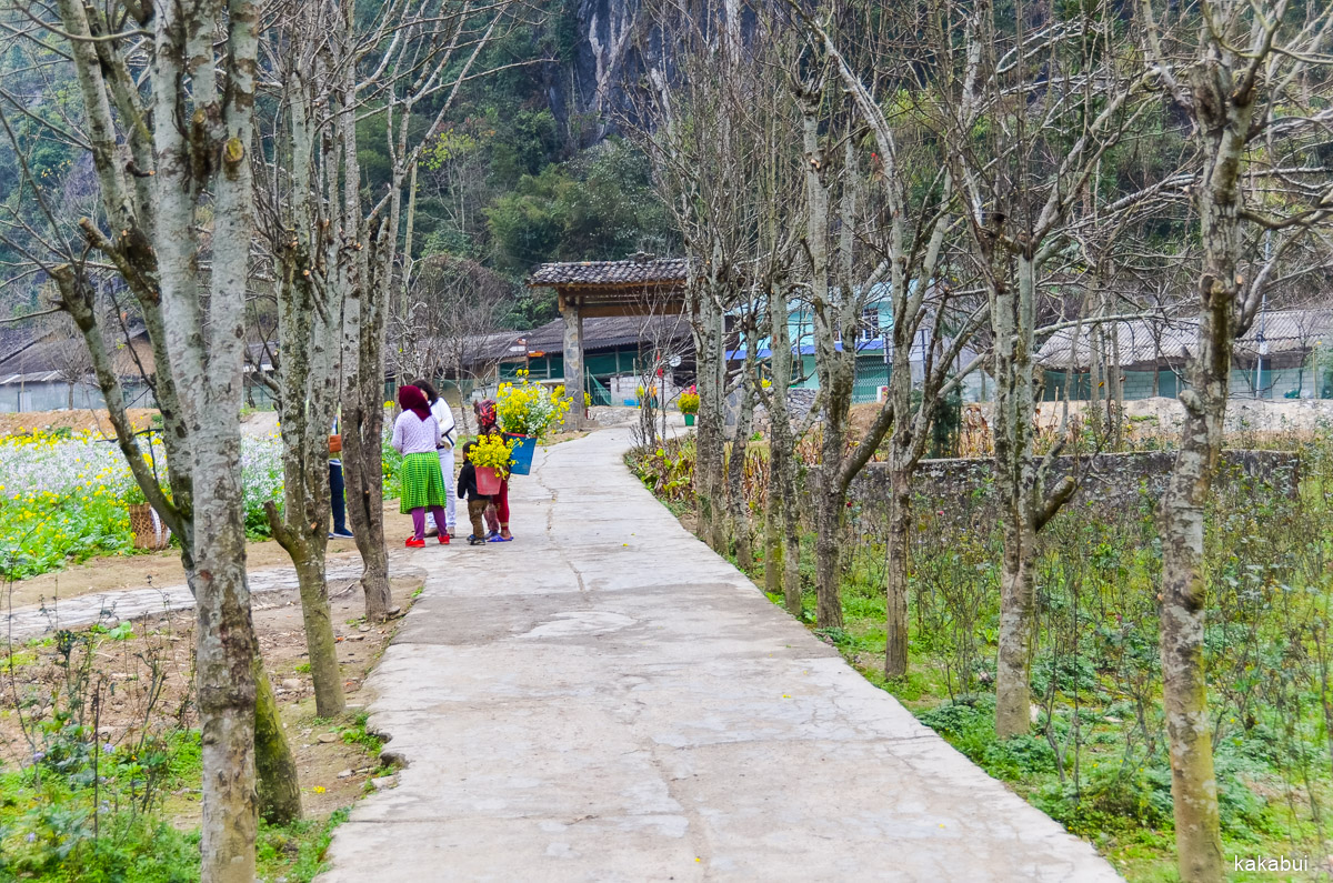 Hagiang 324.jpg