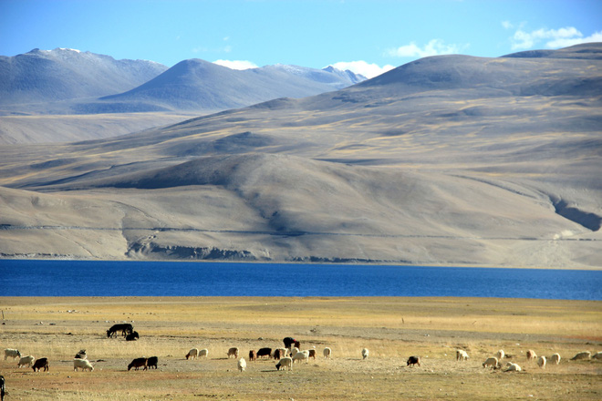ho-tso-moriri-2-1508082902384.jpg