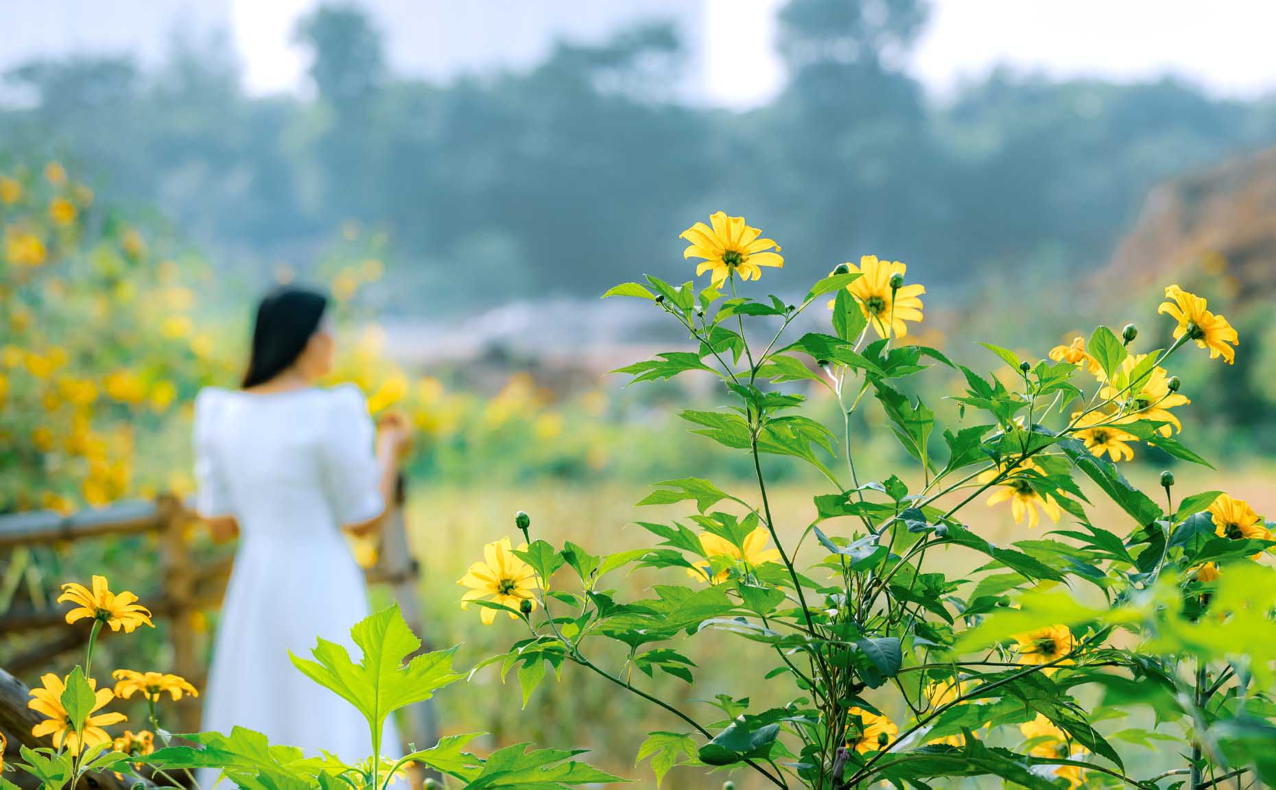 hoa-da-quy-ecopark-9-copy.jpg