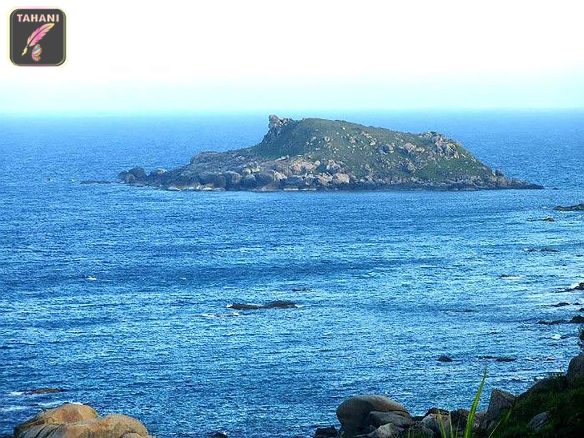 hon-tranh-tai-mui-vi-rong-min.jpg