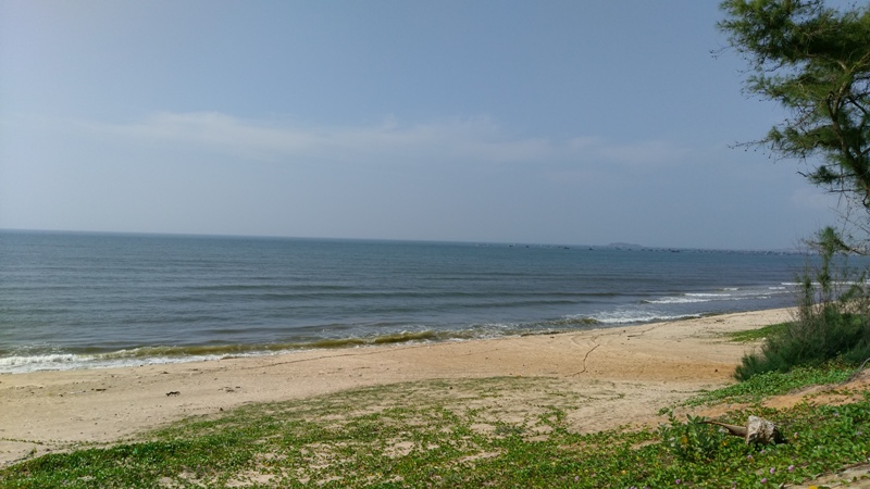 IMAG0152.jpg
