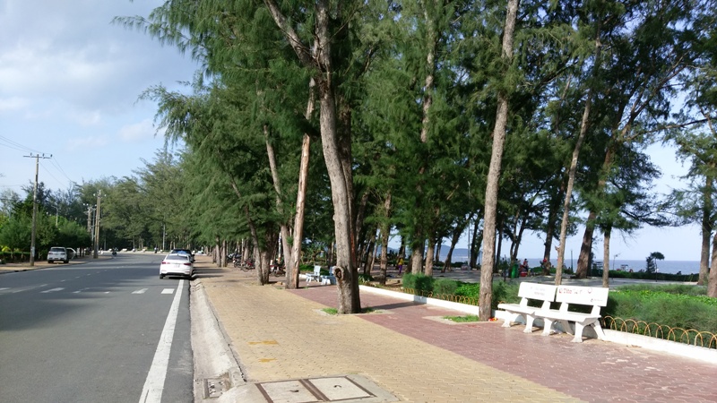 IMAG0163.jpg