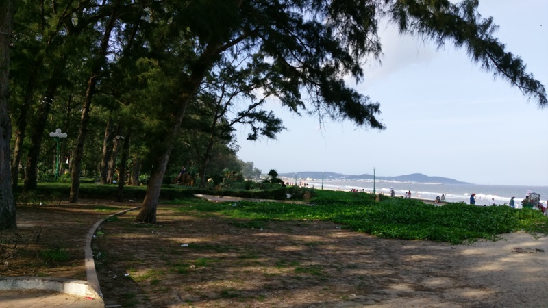 IMAG0165.jpg