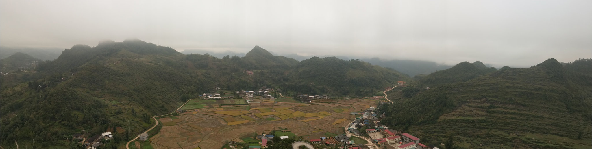 IMAG2664.jpg