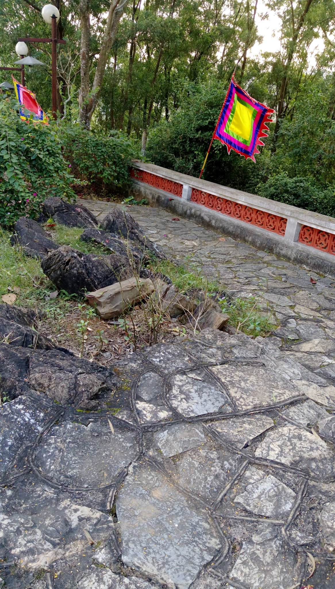IMAG4871a.jpg