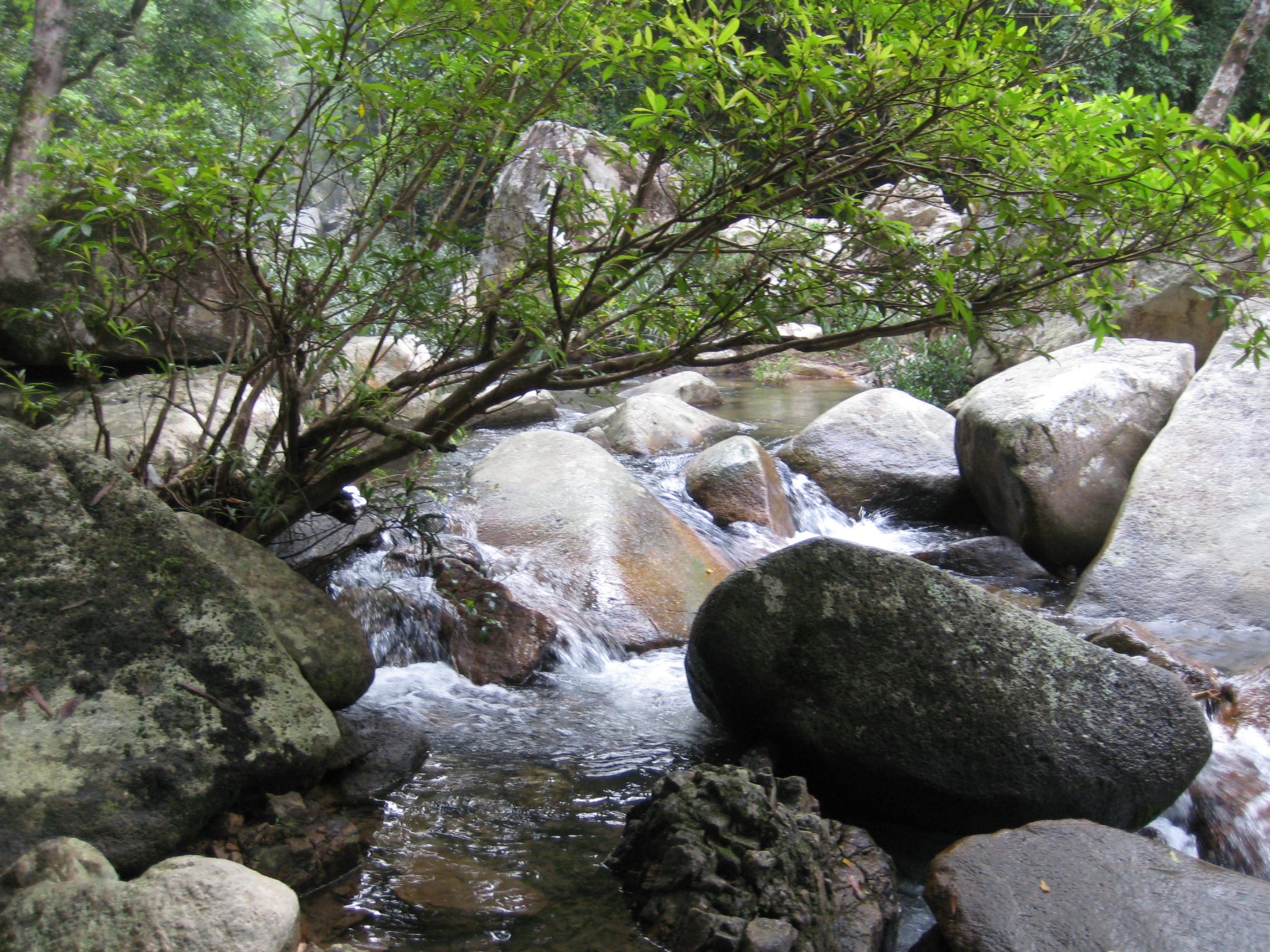IMG_0073.JPG