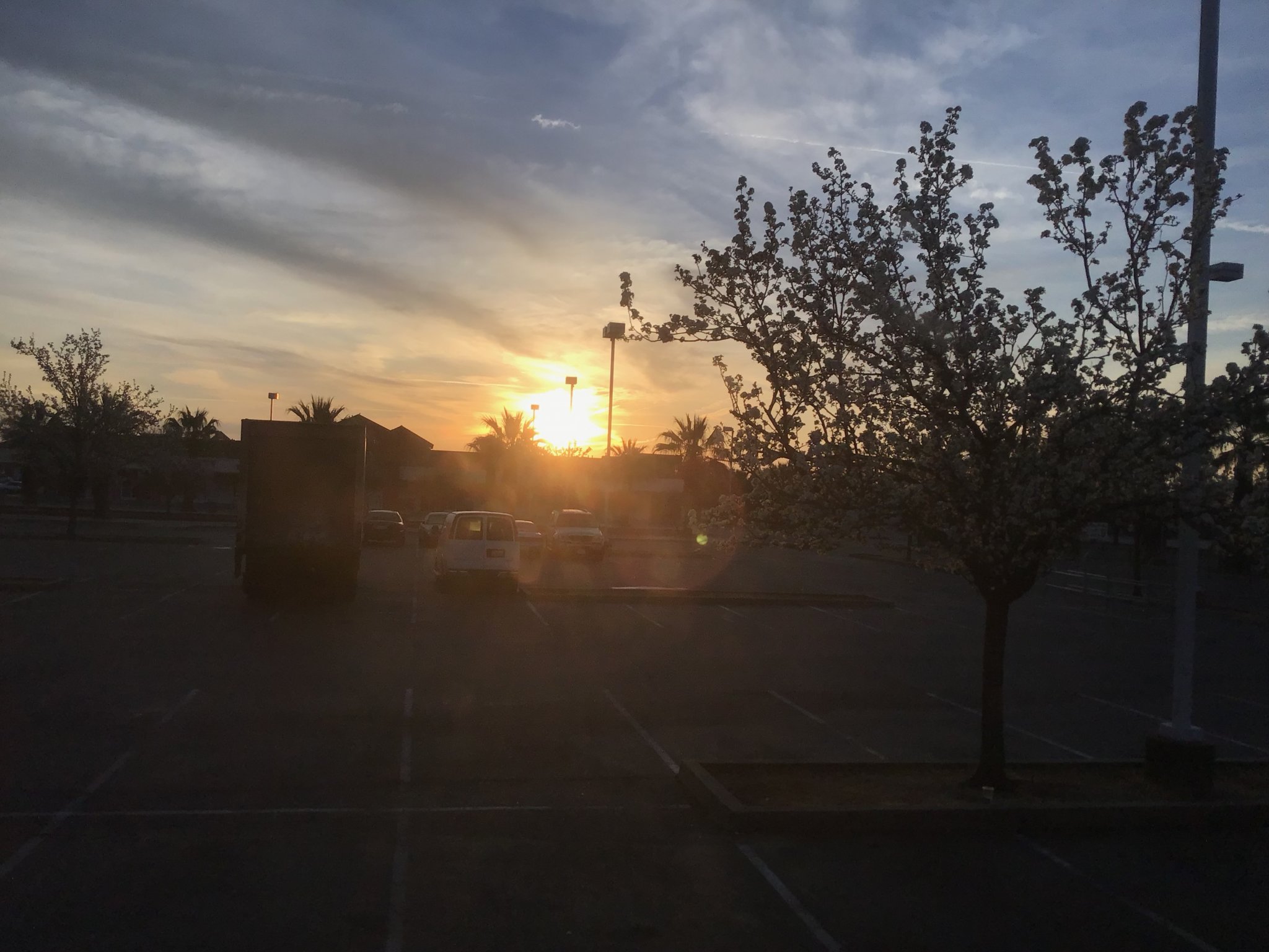 IMG_0827.jpg