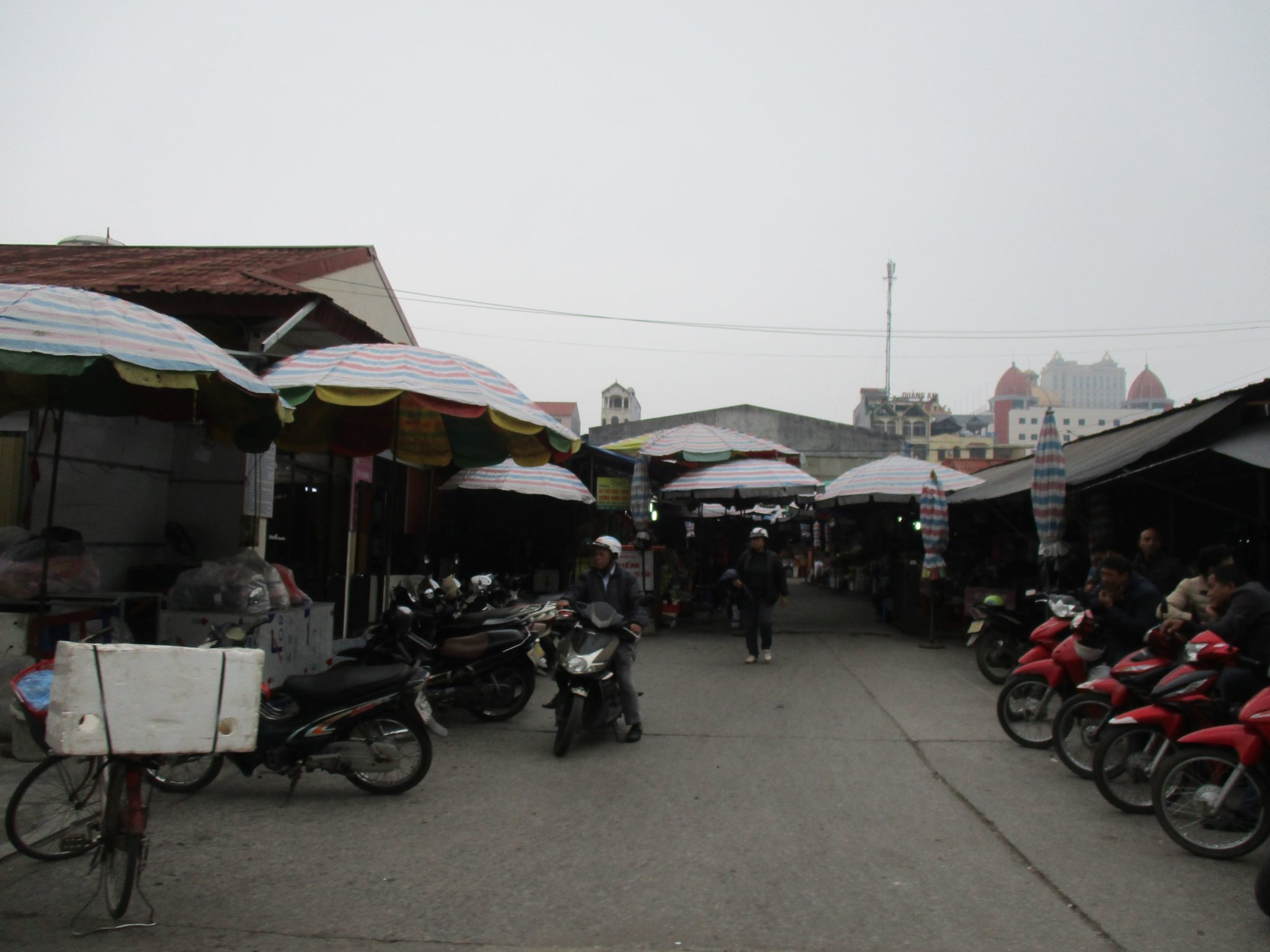 IMG_1453a.JPG