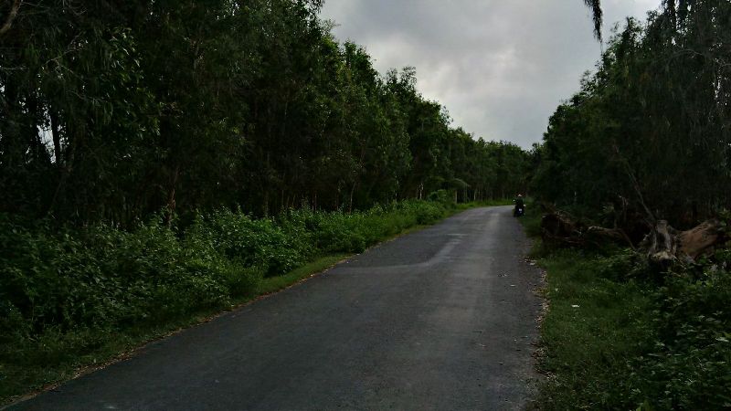 IMG_20161030_083652_hdr.jpg