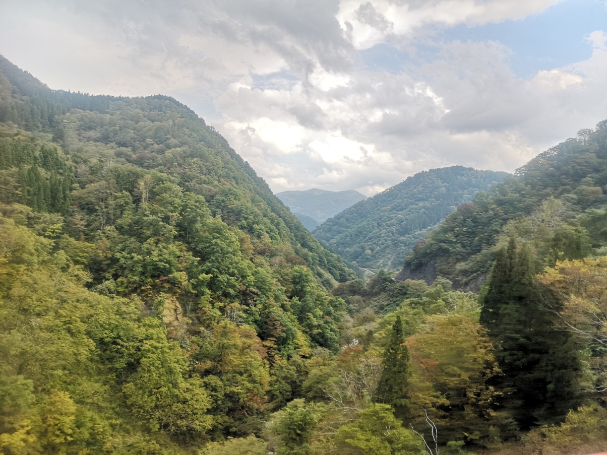 IMG_20181019_115949.jpg