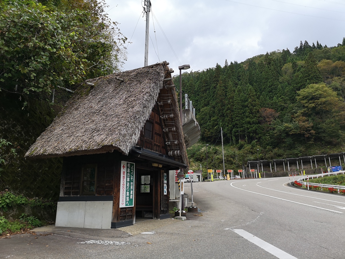 IMG_20181019_120645.jpg