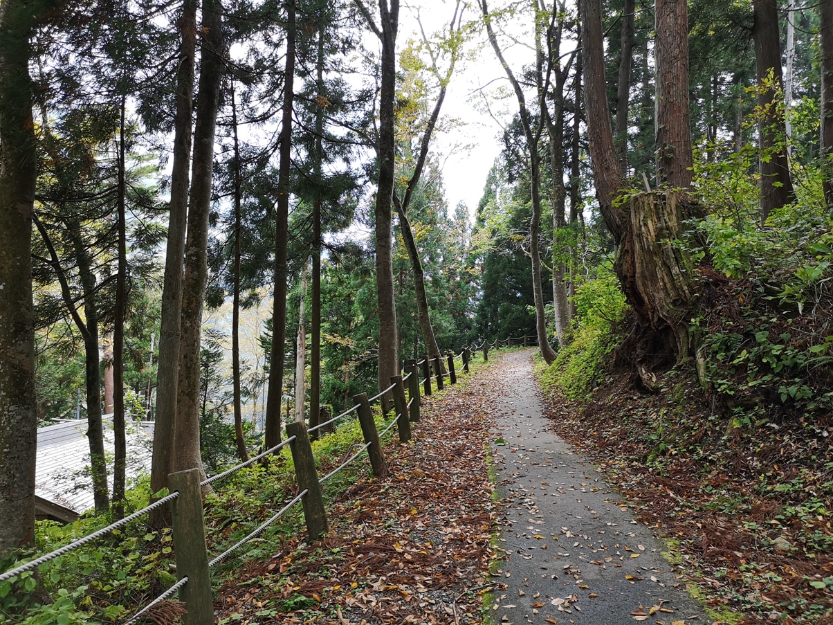 IMG_20181019_121654.jpg