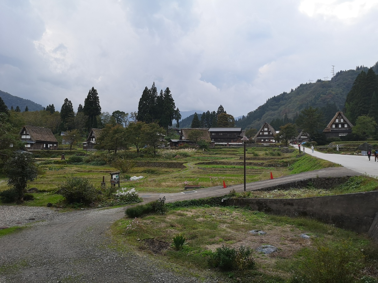 IMG_20181019_122112.jpg