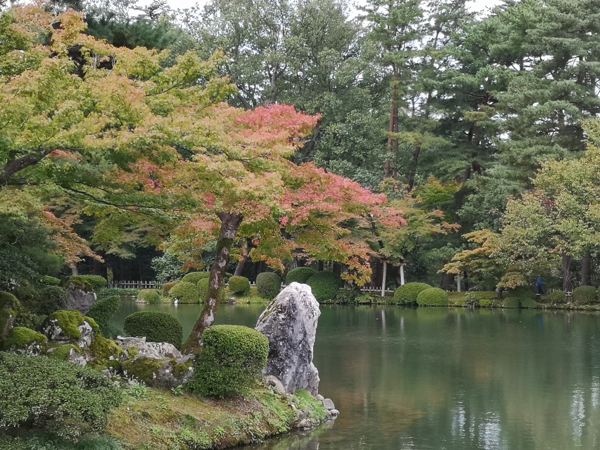 IMG_20181020_101159.jpg