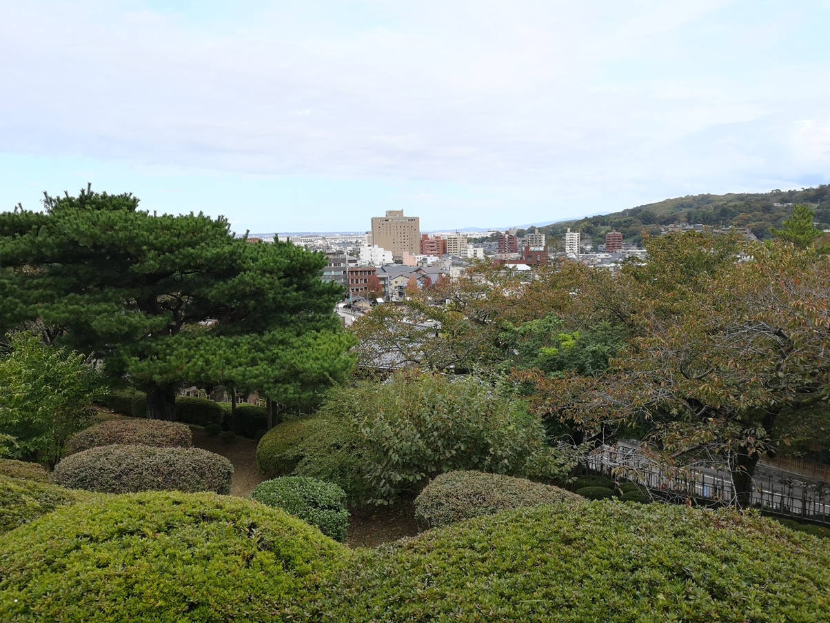IMG_20181020_101735.jpg