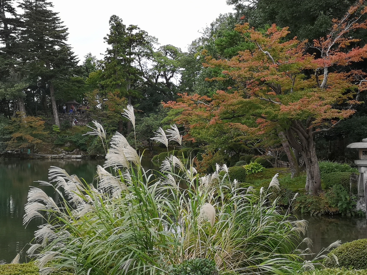 IMG_20181020_102636.jpg