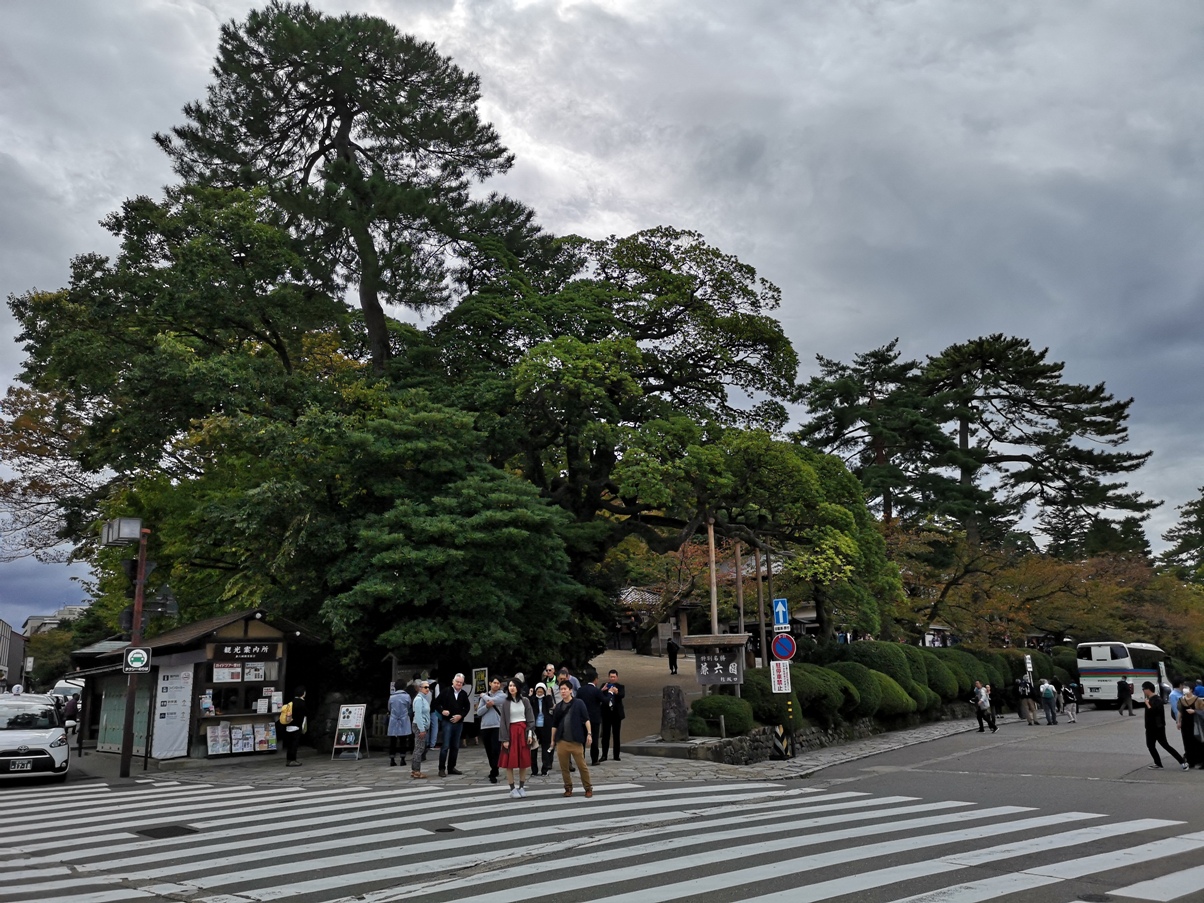 IMG_20181020_105451.jpg