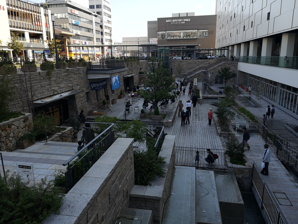 IMG_20181021_105014.jpg