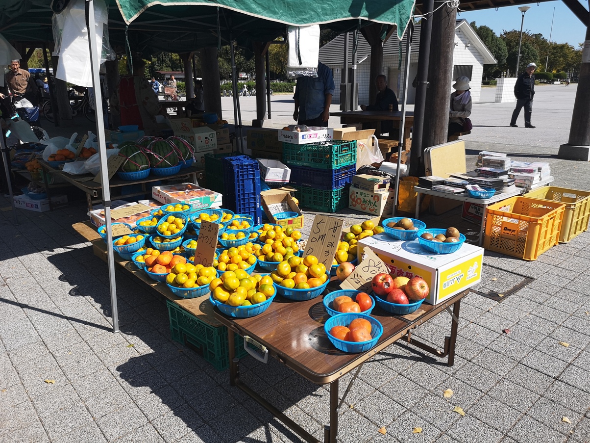 IMG_20181021_110851.jpg