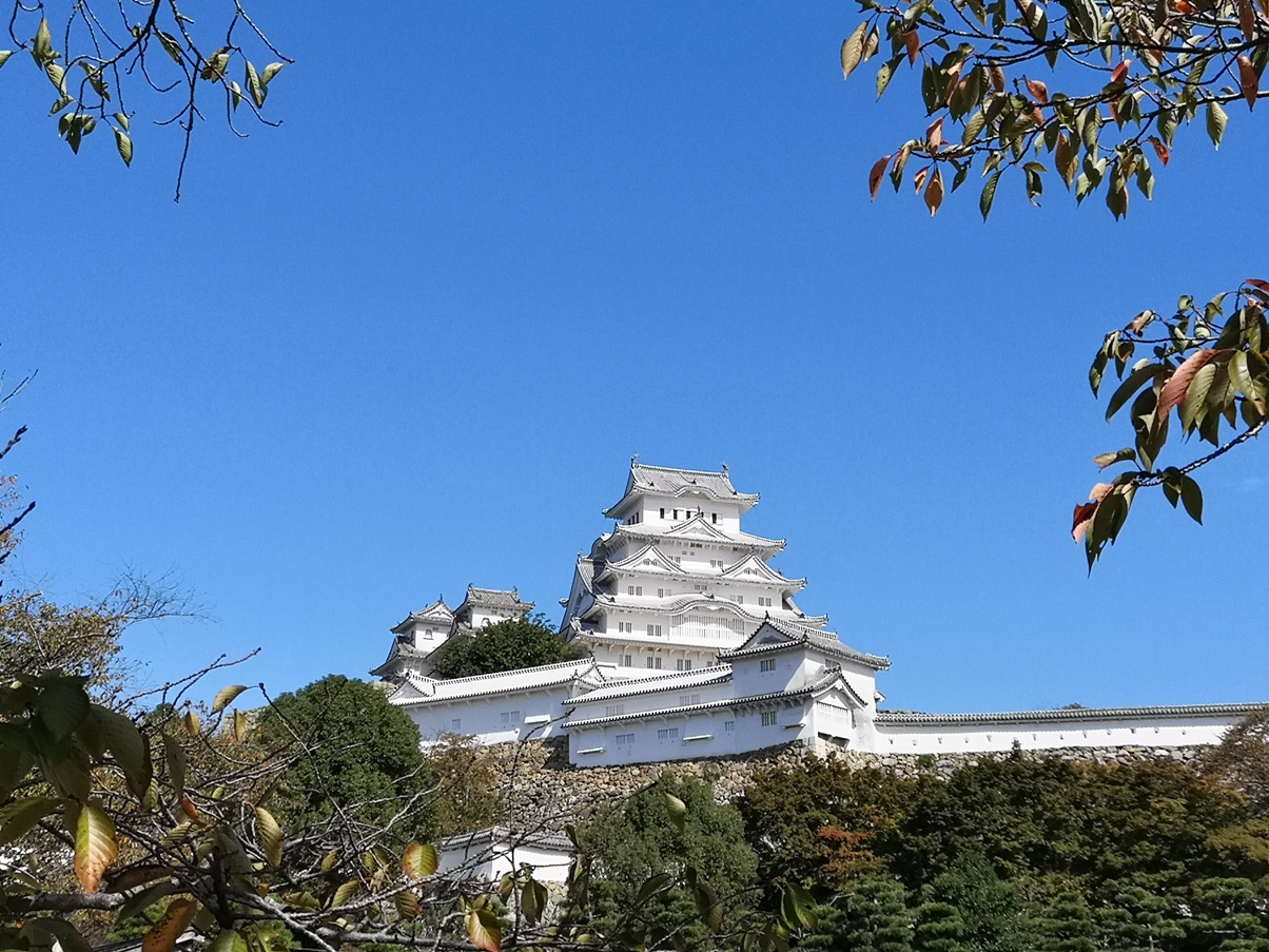 IMG_20181021_113353.jpg