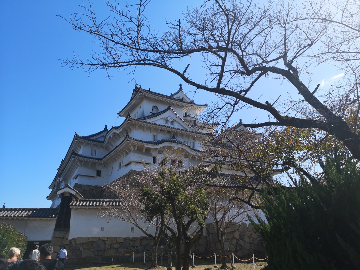IMG_20181021_115246.jpg
