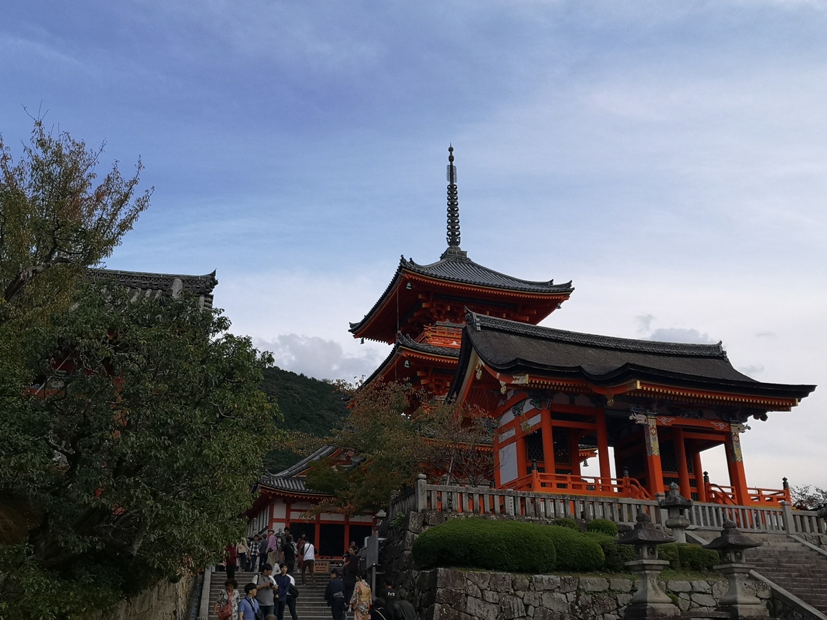 IMG_20181022_154214.jpg