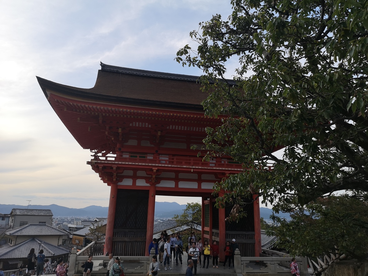 IMG_20181022_154433.jpg