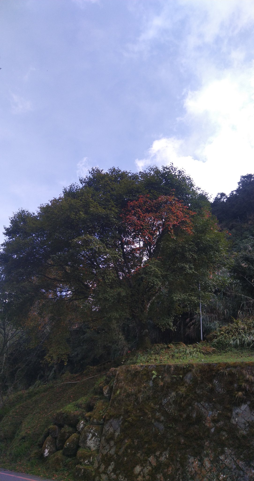 IMG_20181120_124257.jpg