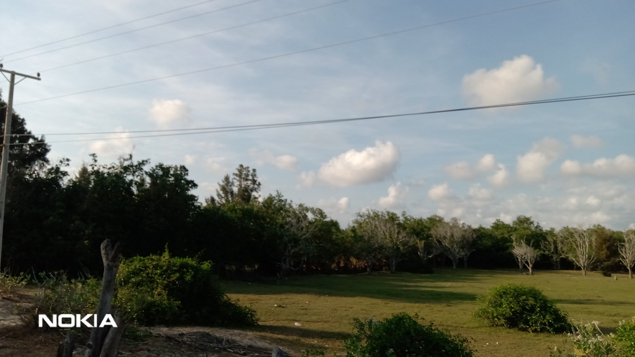 IMG_20190308_162437.jpg