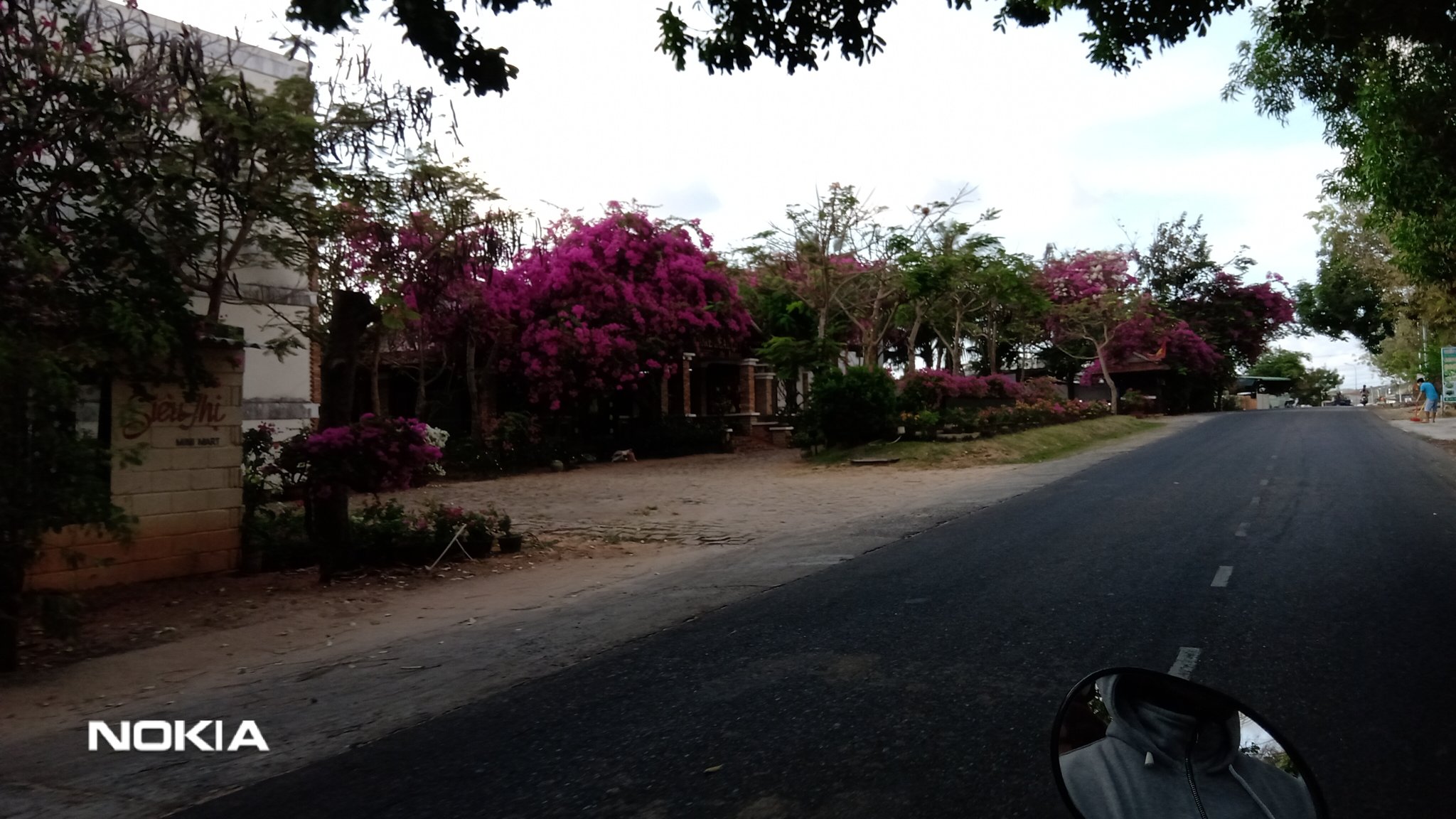 IMG_20190309_070413.jpg